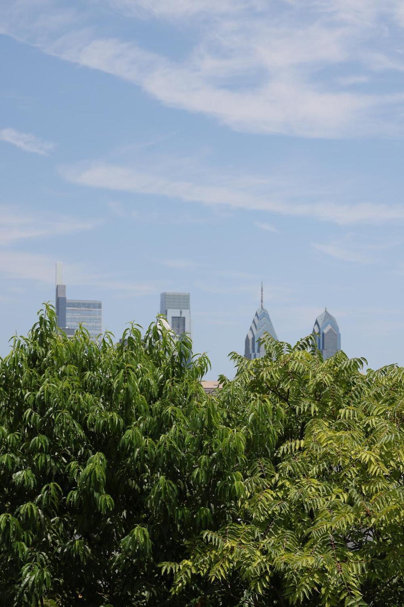 Peaceful Zen Getaway In The City Φιλαδέλφεια Εξωτερικό φωτογραφία